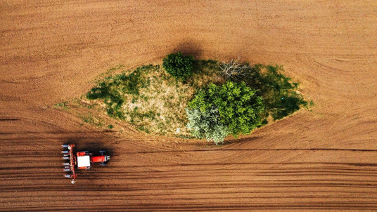Sürdürülebilir Tarım: Doğayı ve Geleceği Koruyan Tarım ve Ekonomik Etkileri
