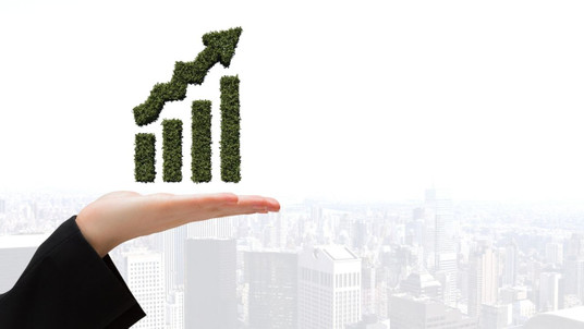 Sürdürülebilir Yatırım: Geleceğe Değer Katmanın Yolu