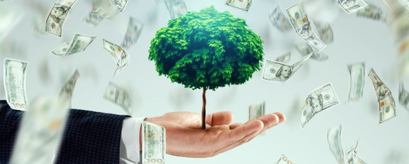 Pasif Gelir ile Finansal Özgürlük