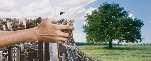 Sürdürülebilir Kalkınma ve Ekonomi Planı Olgusu Nedir?