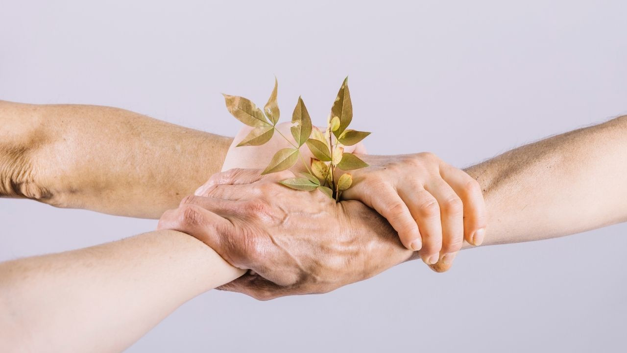 El ele tutuşan 3 el ve ortalarında bulunan dal par&ccedil;ası